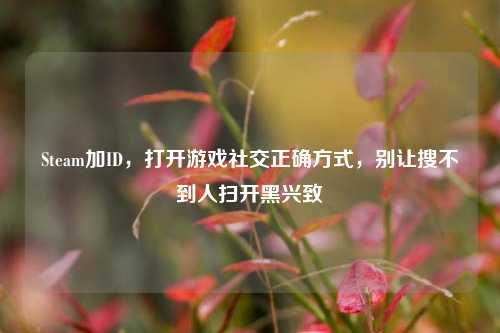 Steam加ID,打开游戏社交正确方式,别让搜不到人扫开黑兴致