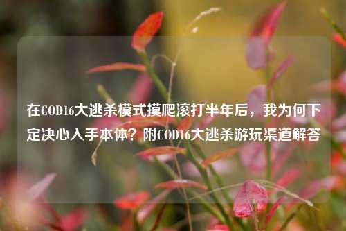 在COD16大逃杀模式摸爬滚打半年后,我为何下定决心入手本体?附COD16大逃杀游玩渠道解答