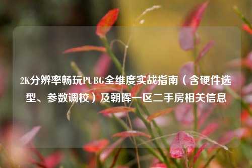 2K分辨率畅玩PUBG全维度实战指南(含硬件选型、参数调校)及朝晖一区二手房相关信息