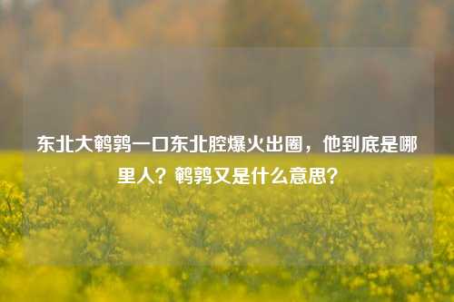 东北大鹌鹑一口东北腔爆火出圈,他到底是哪里人?鹌鹑又是什么意思?