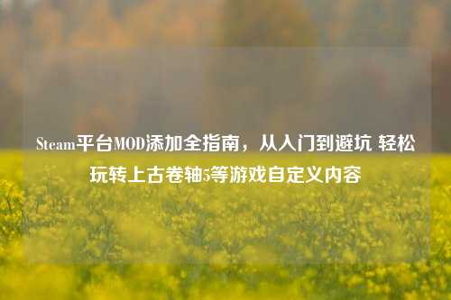 Steam平台MOD添加全指南,从入门到避坑 轻松玩转上古卷轴5等游戏自定义内容