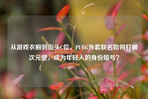 从游戏衣橱到街头C位,PUBG外套联名如何打破次元壁,成为年轻人的身份暗号?