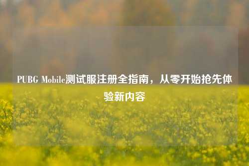 PUBG Mobile测试服注册全指南,从零开始抢先体验新内容