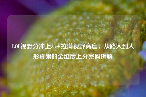 LOL视野分冲上35+拉满视野高度，从路人到人形真眼的全维度上分密码拆解