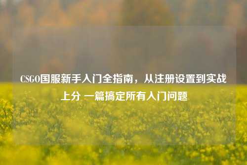 CSGO国服新手入门全指南,从注册设置到实战上分 一篇搞定所有入门问题