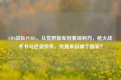 CRS战队PUBG，从荒野新军到赛场利刃，枪火战术书写逆袭传奇，究竟来自哪个国家？