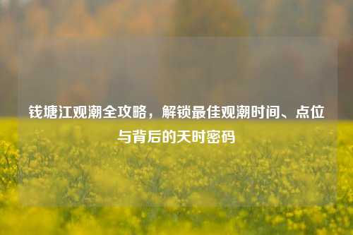 钱塘江观潮全攻略，解锁最佳观潮时间、点位与背后的天时密码
