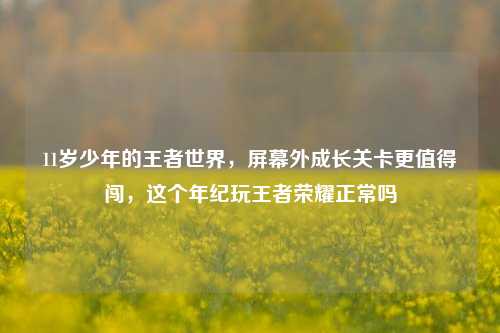 11岁少年的王者世界，屏幕外成长关卡更值得闯，这个年纪玩王者荣耀正常吗