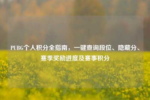 PUBG个人积分全指南,一键查询段位、隐藏分、赛季奖励进度及赛事积分