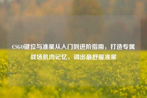 CSGO键位与准星从入门到进阶指南,打造专属战场肌肉记忆,调出最舒服准星
