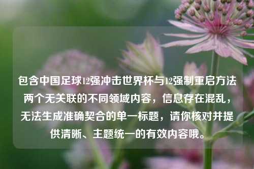 包含中国足球12强冲击世界杯与12强制重启方法两个无关联的不同领域内容，信息存在混乱，无法生成准确契合的单一标题，请你核对并提供清晰、主题统一的有效内容哦。
