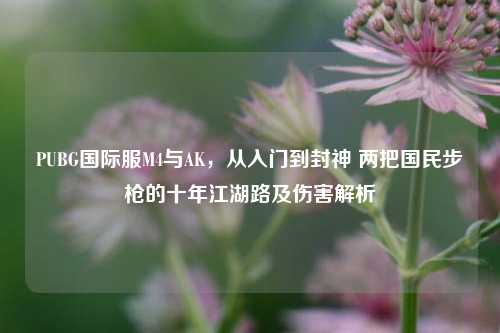 PUBG国际服M4与AK，从入门到封神 两把国民步枪的十年江湖路及伤害解析