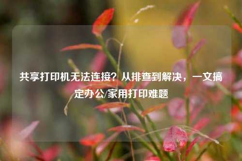 共享打印机无法连接?从排查到解决,一文搞定办公/家用打印难题