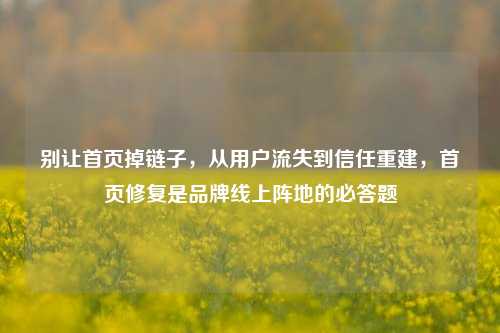 别让首页掉链子,从用户流失到信任重建,首页修复是品牌线上阵地的必答题