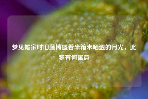 梦见搬家时旧藤椅盛着半箱未晒透的月光,此梦有何寓意