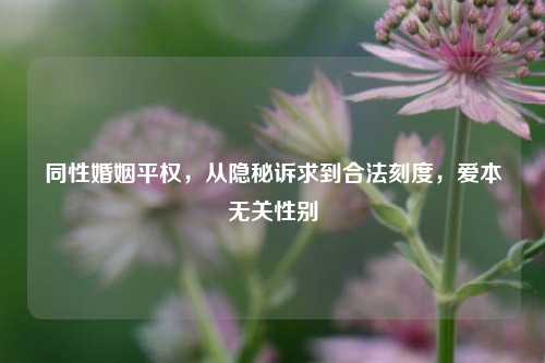 同性婚姻平权,从隐秘诉求到合法刻度,爱本无关性别