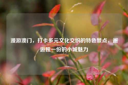 漫游澳门,打卡多元文化交织的特色景点,邂逅独一份的小城魅力