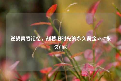 逆战青春记忆，刻着旧时光的永久黄金AK47永久CDK