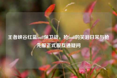 王者峡谷红蓝buff保卫战,抢buff的笑泪日常与抢先服正式服互通疑问