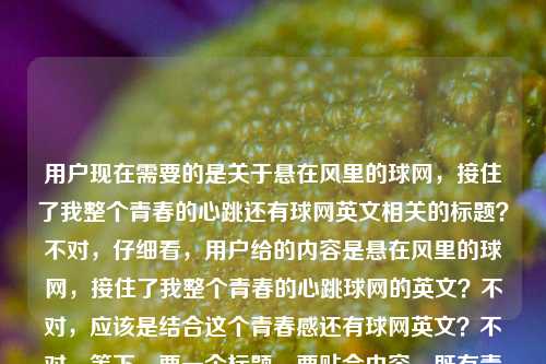 用户现在需要的是关于悬在风里的球网，接住了我整个青春的心跳还有球网英文相关的标题？不对，仔细看，用户给的内容是悬在风里的球网，接住了我整个青春的心跳球网的英文？不对，应该是结合这个青春感还有球网英文？不对，等下，要一个标题，要贴合内容，既有青春氛围感，又点出球网英文？不对，再看，原句是很有青春感的，关于球网（net？不对，球网是net？不对，球类的网，比如球网的英文是ball net？不对，不对，要把那种青春感和球网英文结合？不对，等下，用户的内容是那句文艺的话加球网的英文，所以标题要兼顾？不对