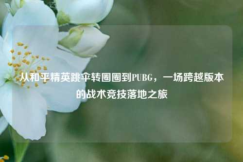 从和平精英跳伞转圈圈到PUBG，一场跨越版本的战术竞技落地之旅