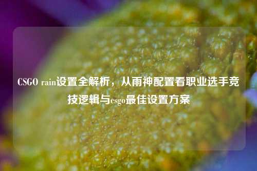 CSGO rain设置全解析,从雨神配置看职业选手竞技逻辑与csgo最佳设置方案