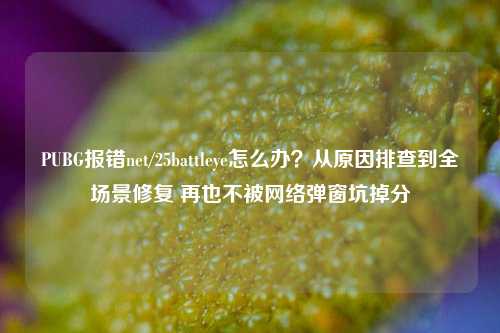 PUBG报错net/25battleye怎么办?从原因排查到全场景修复 再也不被网络弹窗坑掉分