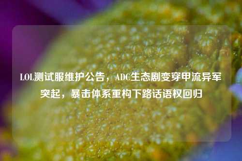 LOL测试服维护公告,ADC生态剧变穿甲流异军突起,暴击体系重构下路话语权回归