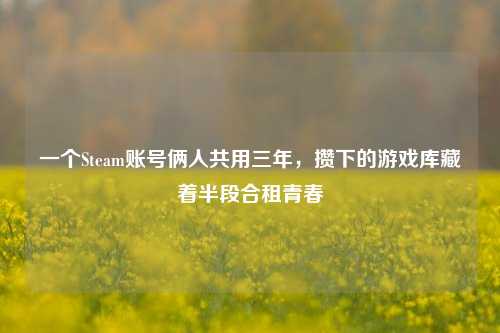 一个Steam账号俩人共用三年,攒下的游戏库藏着半段合租青春