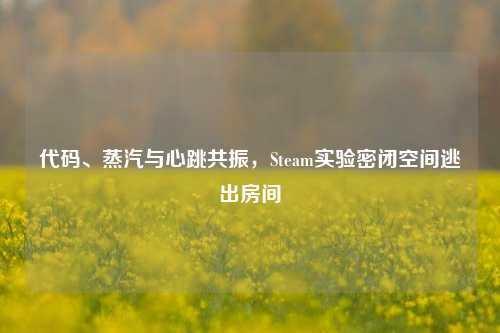 代码、蒸汽与心跳共振,Steam实验密闭空间逃出房间