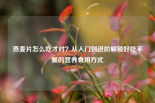 燕麦片怎么吃才对?从入门到进阶解锁好吃不腻的营养食用方式