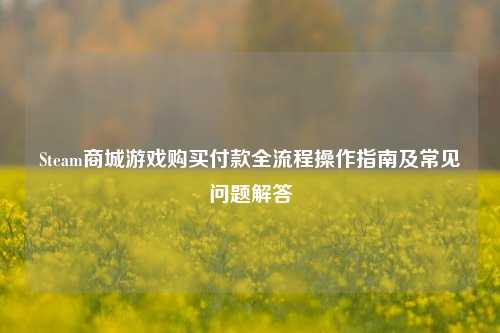 Steam商城游戏购买付款全流程操作指南及常见问题解答
