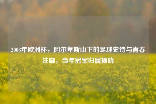 2008年欧洲杯，阿尔卑斯山下的足球史诗与青春注脚，当年冠军归属揭晓