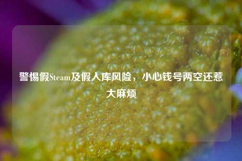 警惕假Steam及假入库风险,小心钱号两空还惹大麻烦