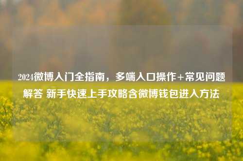 2024微博入门全指南，多端入口操作+常见问题解答 新手快速上手攻略含微博钱包进入方法