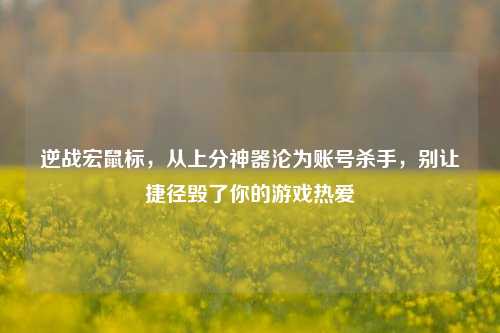 逆战宏鼠标，从上分神器沦为账号杀手，别让捷径毁了你的游戏热爱