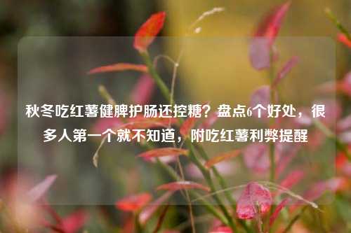 秋冬吃红薯健脾护肠还控糖?盘点6个好处,很多人第一个就不知道,附吃红薯利弊提醒