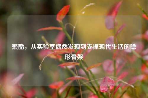 聚酯,从实验室偶然发现到支撑现代生活的隐形骨架