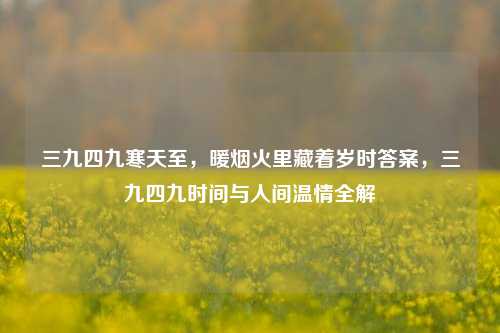 三九四九寒天至,暖烟火里藏着岁时答案,三九四九时间与人间温情全解