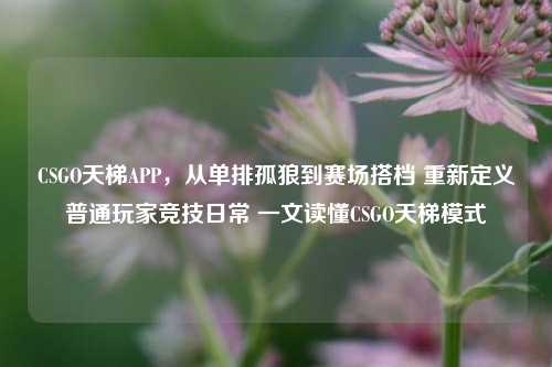 CSGO天梯APP,从单排孤狼到赛场搭档 重新定义普通玩家竞技日常 一文读懂CSGO天梯模式