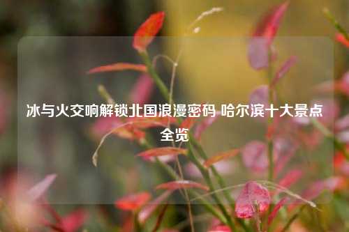 冰与火交响解锁北国浪漫密码 哈尔滨十大景点全览