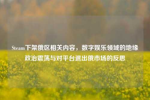 Steam下架俄区相关内容，数字娱乐领域的地缘政治震荡与对平台退出俄市场的反思