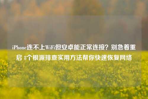 iPhone连不上WiFi但安卓能正常连接?别急着重启 8个根源排查实用方法帮你快速恢复网络