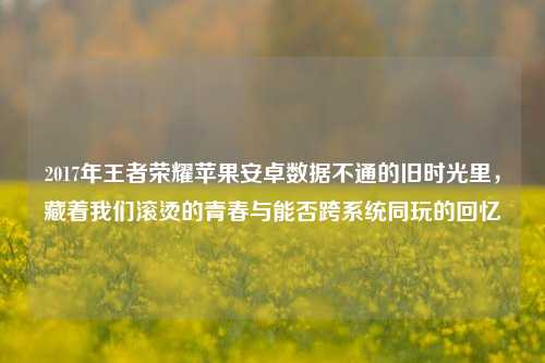 2017年王者荣耀苹果安卓数据不通的旧时光里,藏着我们滚烫的青春与能否跨系统同玩的回忆