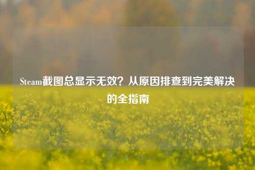Steam截图总显示无效?从原因排查到完美解决的全指南