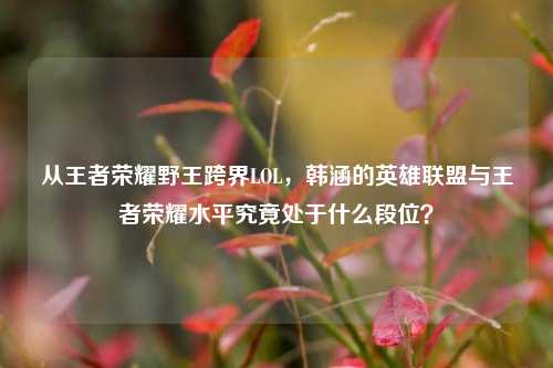 从王者荣耀野王跨界LOL,韩涵的英雄联盟与王者荣耀水平究竟处于什么段位?