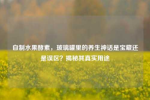 自制水果酵素,玻璃罐里的养生神话是宝藏还是误区?揭秘其真实用途