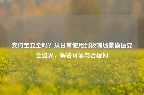 支付宝安全吗?从日常使用到极端场景摸透安全边界,解答可靠与否疑问