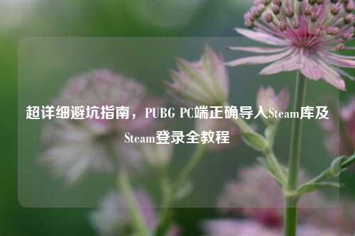 超详细避坑指南,PUBG PC端正确导入Steam库及Steam登录全教程