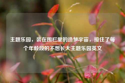 主题乐园，装在围栏里的造梦宇宙，接住了每个年龄段的不想长大主题乐园英文